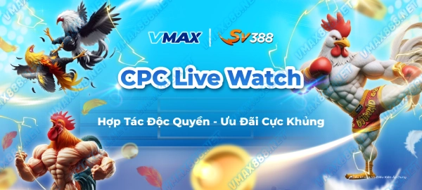 Trực Tiếp Đá Gà VMAX888