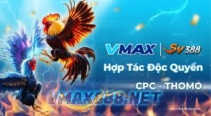 VMAX888 _ SV388 Hợp Tác Độc Quyền CPC Thomo